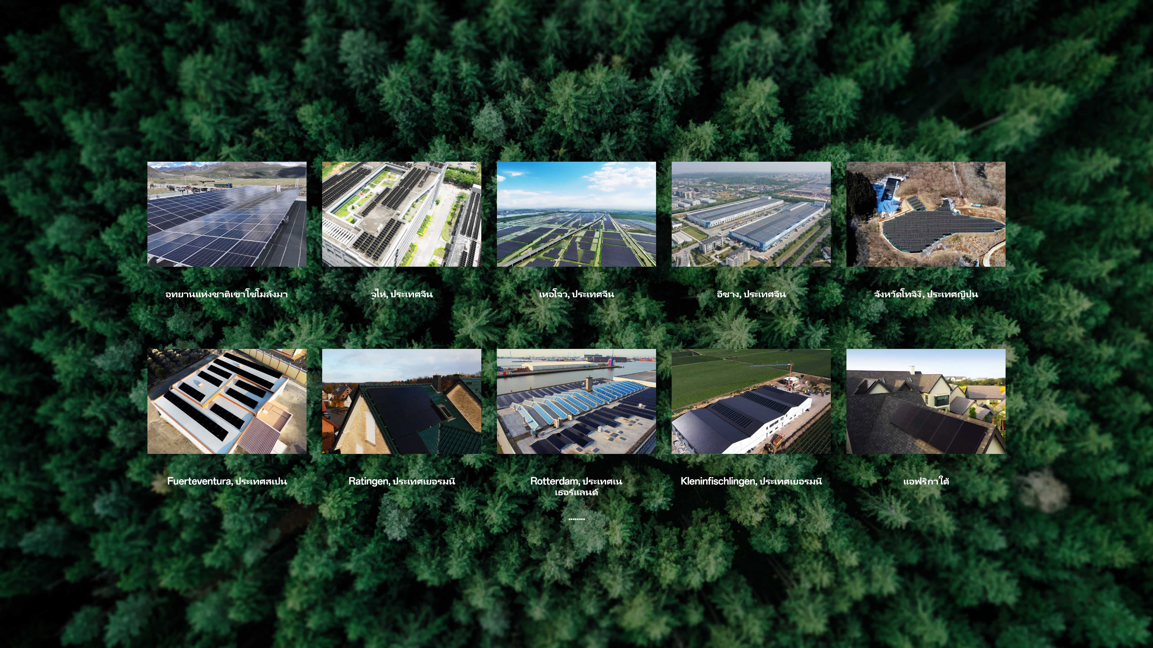 ?????????????????????????????????????????? AIKO ??????????????????? 